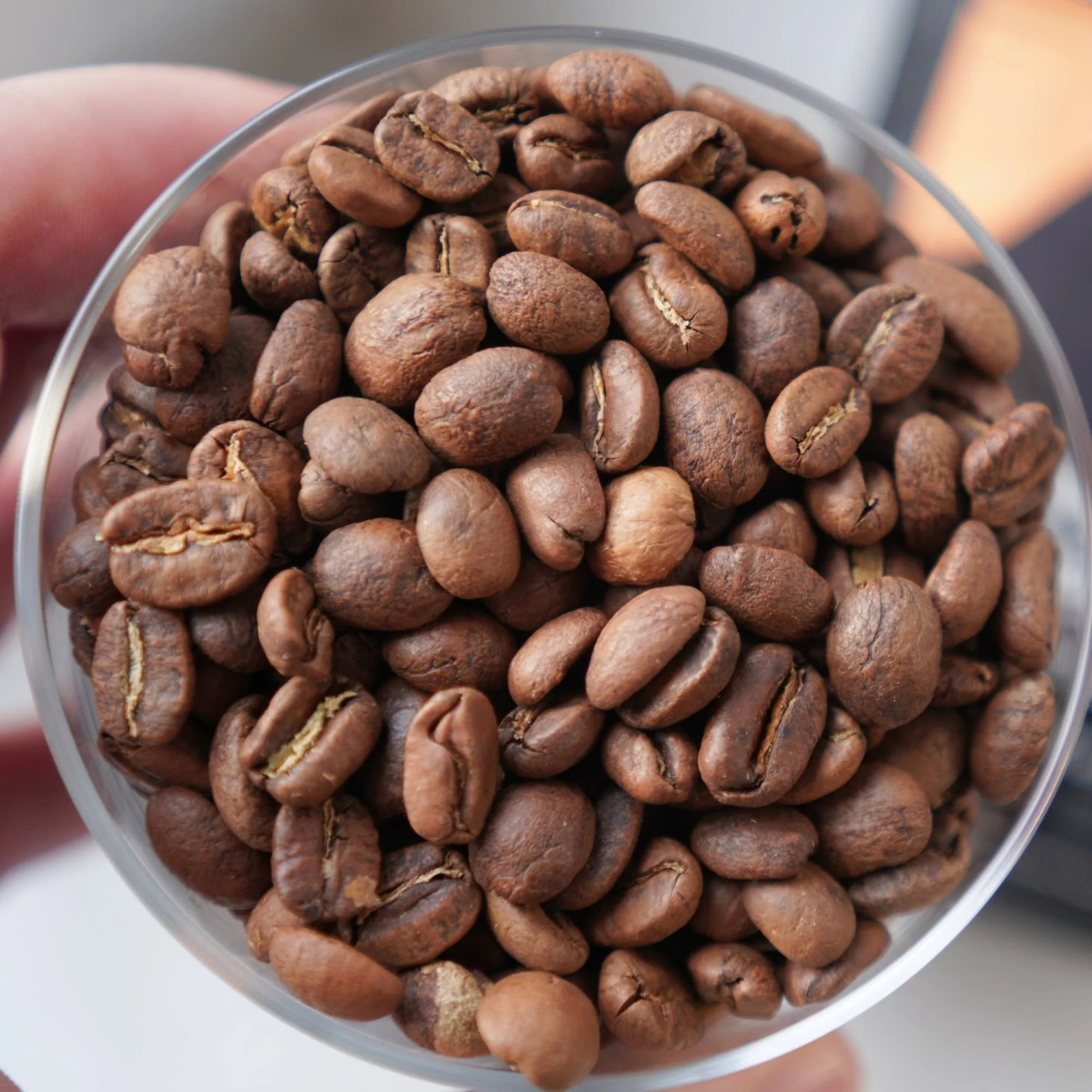 Colombian Espresso Coffee Beans - Image 8